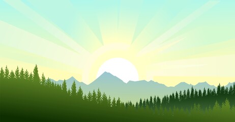 Pine forest. Silhouettes of coniferous trees. Wild landscape horizontally. Mountains. Nice panoramic view. Beautifully illustration vector