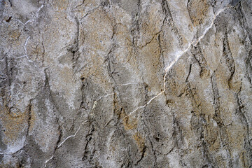 Lightning pattern on the plastered wall of the house