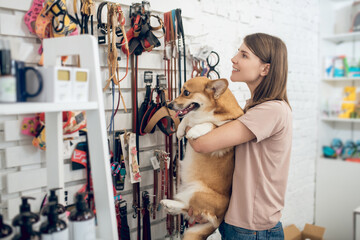 Dark-haired girl and her corgi choosing toys in a pet shop