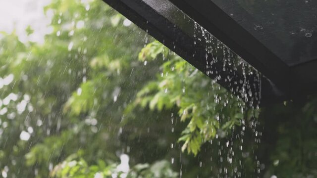 Rain water dropping from roof in day time. Raining in motion. Slow motion.