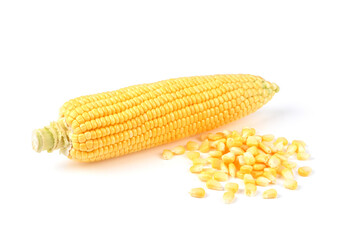 Raw Sweet corn isolated on white background.