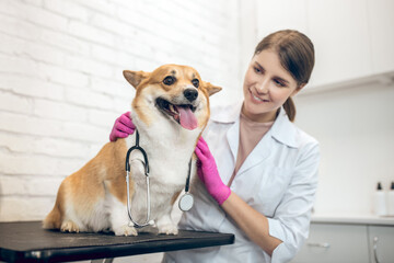 Cute smiling vet doctor with a cute dog in a clinic