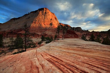 Wonderful place in Arizona, Utah, Nevada, California