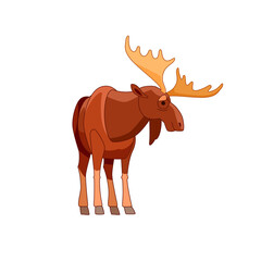 Moose or Elk, Alces alces. Beautiful animal in the nature habitat front view. Wildlife scene. Cartoon character vector flat illustration isolated on a white background