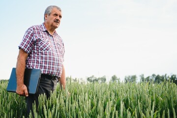 Naklejka na ściany i meble modern farmer checking his wheat field and working on laptop computer