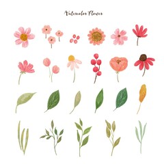 collection of tiny  wild flower illustration