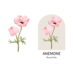 pretty logo with anemone flower watercolor digital illustration