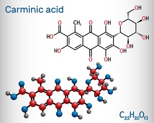 Carminic acid molecule. It is сoloring matter, red glucosidal hydroxyanthrapurin. It is used in foods, pharmaceuticals. Structural chemical formula and molecule model. Vector illustration