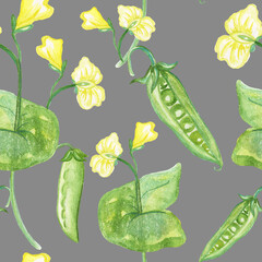 floral pattern of flowers peas, pods and leaves on a grey background