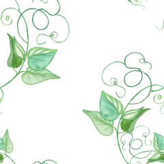 Obraz premium vegetable seamless pattern vine with leaves, curly pattern