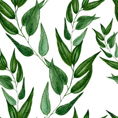 pattern green branches with leaves on a white background