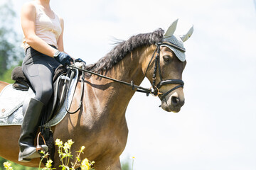 Reiterin mit Pferd/Pony