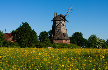 Old windmill in Palczewo © Piotrmag45