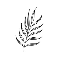 Hand drawn line drawing of a leaf. Vector illustration