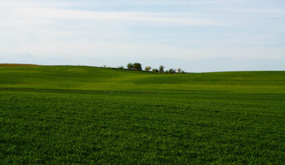Landscape of a field hill 