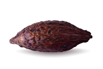 Cocoa pod and beans isolated on a white background.
