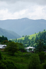 Fototapeta premium Beautiful green landscape. Summer day in the Carpathian Mountains.