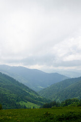 Beautiful green landscape. Path to the top. Cloudy day in the Carpathian Mountains.