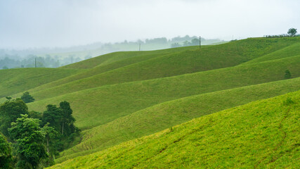 Tablelands lush green landscape covered by fog