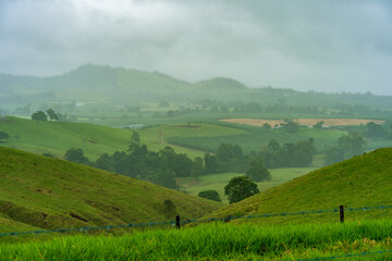 Tablelands lush green landscape covered by fog