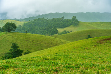 Fototapeta premium Tablelands lush green landscape covered by fog