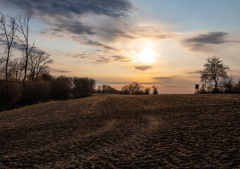 Country landscape in sunshine,Germany