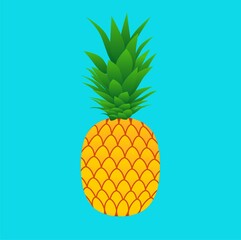pineapple on a white