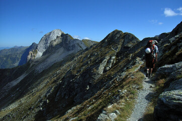 Fototapeta na wymiar Ein Berg Wanderer auf dem Karnischen Höhenweg 