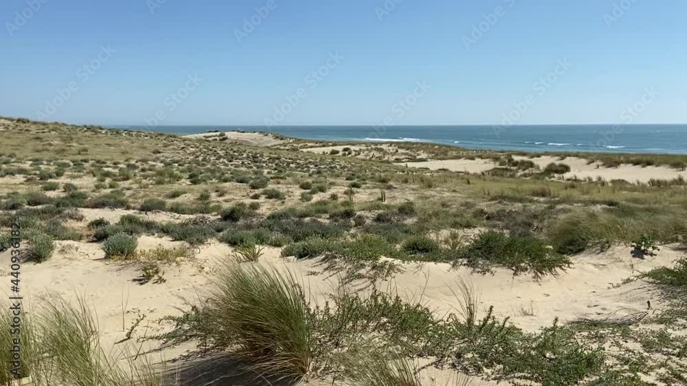 Poster Plage du Cap Ferret, Gironde