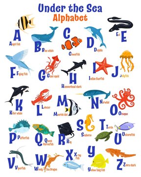 Sea animals alphabet poster. ABC for children.