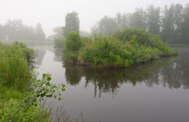 Foggy summer morning on the lake