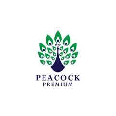 vector abstract illustration and religion peacock logo design 