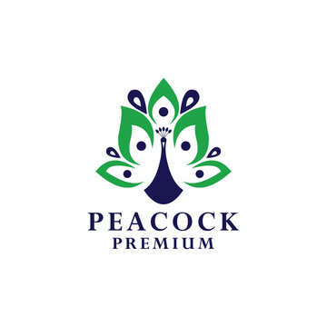 vector abstract illustration and religion peacock logo design 