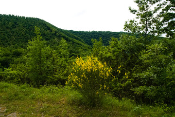 Panorama in umbria in estate