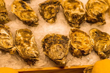 Fresh French oysters on ice, food concept.