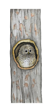 Watercolor illustration with little owls in the hollow.
