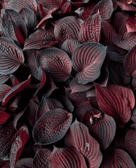close up of a pile of dried fruits