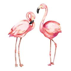 Fotobehang Hand drawn pink flamingo illustration © Rawpixel.com
