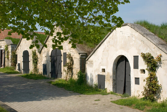 famous wine cellars of Kellergasse in Purbach, Burgenland