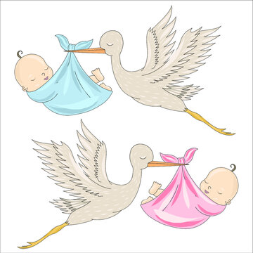 A white stork carries a baby boy and a girl. The appearance of a baby in the family. Vector illustration of newborn babies