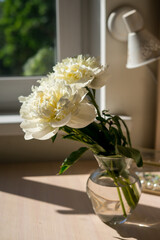 Bouquet of beautiful peony. Copy space. International Women's Day celebration. White wall background. Scandinavian interior.	