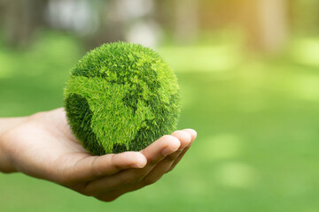 Close up hands holding earth on green background.protect nature.Save Earth.concept of the...