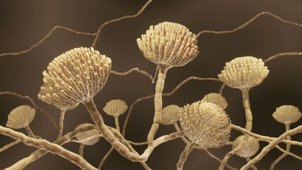 Mold fungi, Aspergillus accuarte 3d illustration - obrazy, fototapety, plakaty