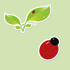a green leaf with dew drops and a small red bug ladybug