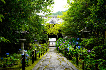 Konchi-in Temple in Kyoto.