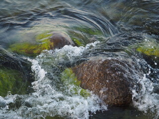 Kamienie porośnięte morską trawą
