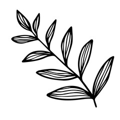 Branch with leaves. Hand drawn black doodle outline silhouette of plant twig. Stock vector minimal illustration isolated on white background.