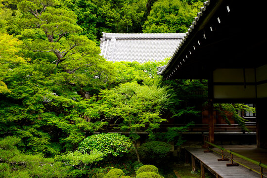 Zenrinji Eikando Temple in Kyoto.