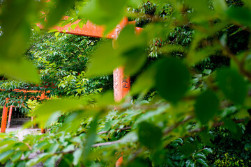 Yoshida Shrine in Kyoto.