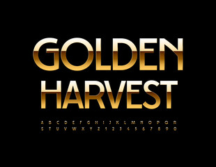 Vector stylish Banner Golden Harvest. Chic Modern Font. Luxury Alphabet Letters and Numbers.